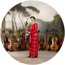Scarlett Arts, cellodocent